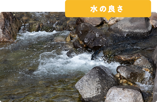 水の良さ